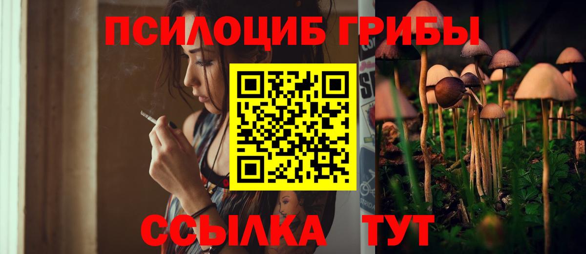 Псилоцибиновые грибы ЛСД  закладка  Миасс  Вход с VPN 
